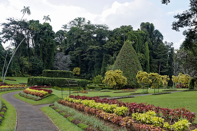 Kandy-Botanical garden-092